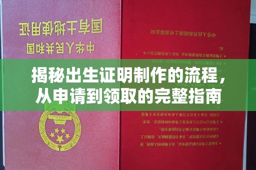 道外揭秘出生证明制作的流程，从申请到领取的完整指南