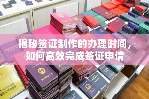 大树揭秘签证制作的办理时间，如何高效完成签证申请