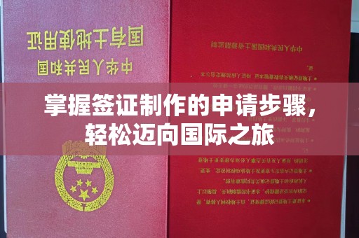 泰州掌握签证制作的申请步骤，轻松迈向国际之旅