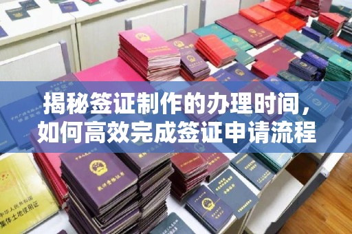 娄星揭秘签证制作的办理时间，如何高效完成签证申请流程