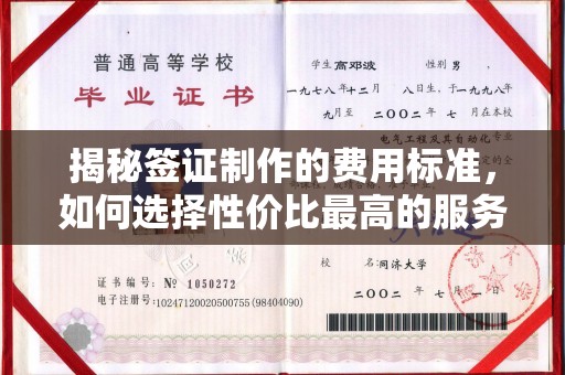 防城港揭秘签证制作的费用标准，如何选择性价比最高的服务？