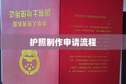 埔心护照制作申请流程